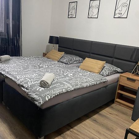 Cerna Ruze - Apartman 4 Plzen Ngoại thất bức ảnh