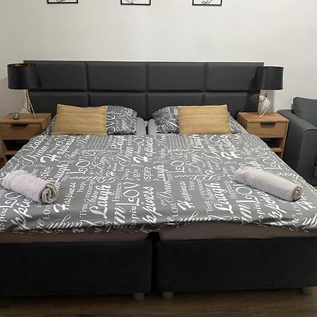 Cerna Ruze - Apartman 4 Plzen Ngoại thất bức ảnh