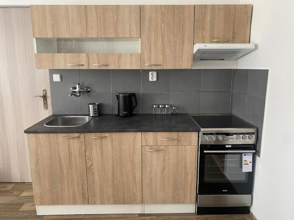 Cerna Ruze - Apartman 4 Plzen Ngoại thất bức ảnh