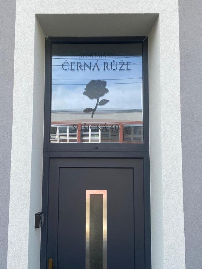 Cerna Ruze - Apartman 4 Plzen Ngoại thất bức ảnh