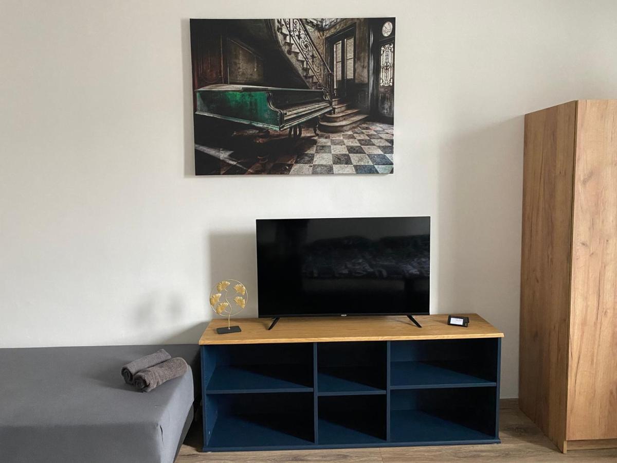 Cerna Ruze - Apartman 4 Plzen Ngoại thất bức ảnh